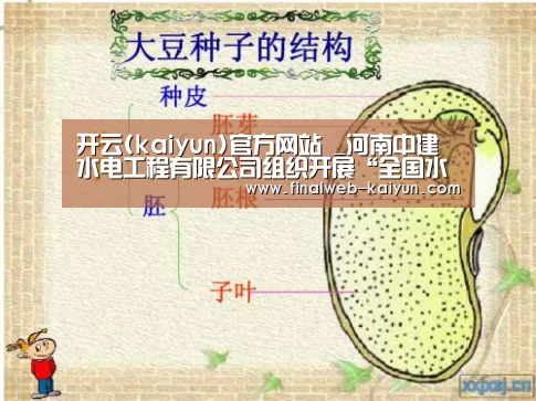  中文首页